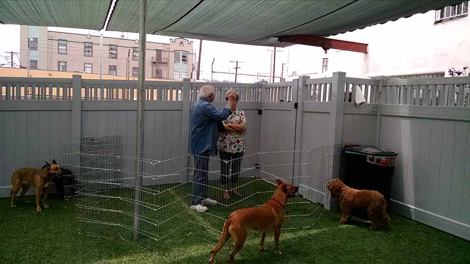 pet friendly dog fence